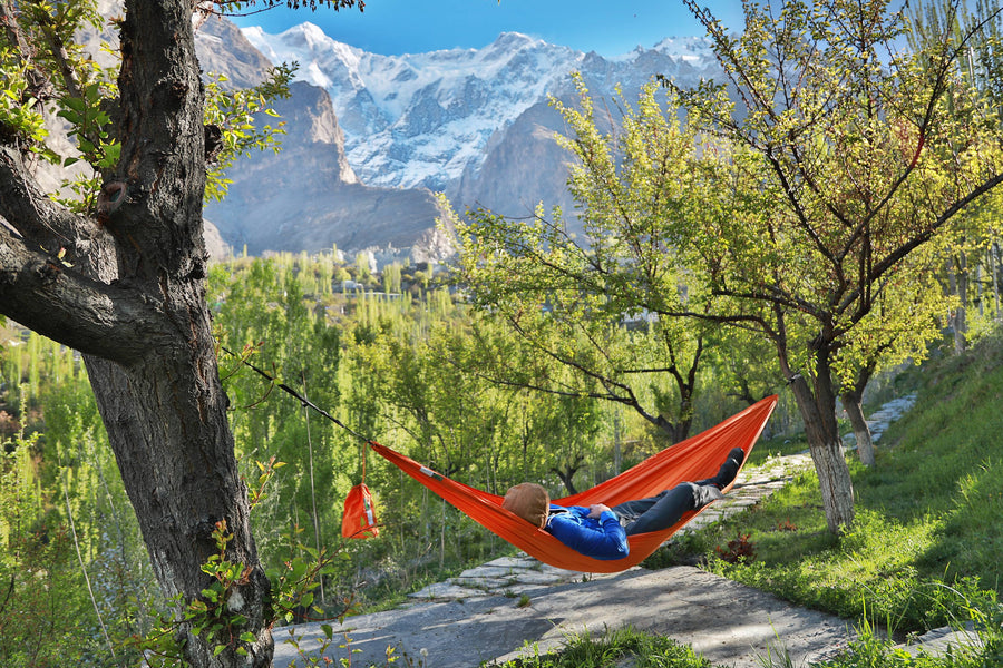 Extreme-Weather Hammock System